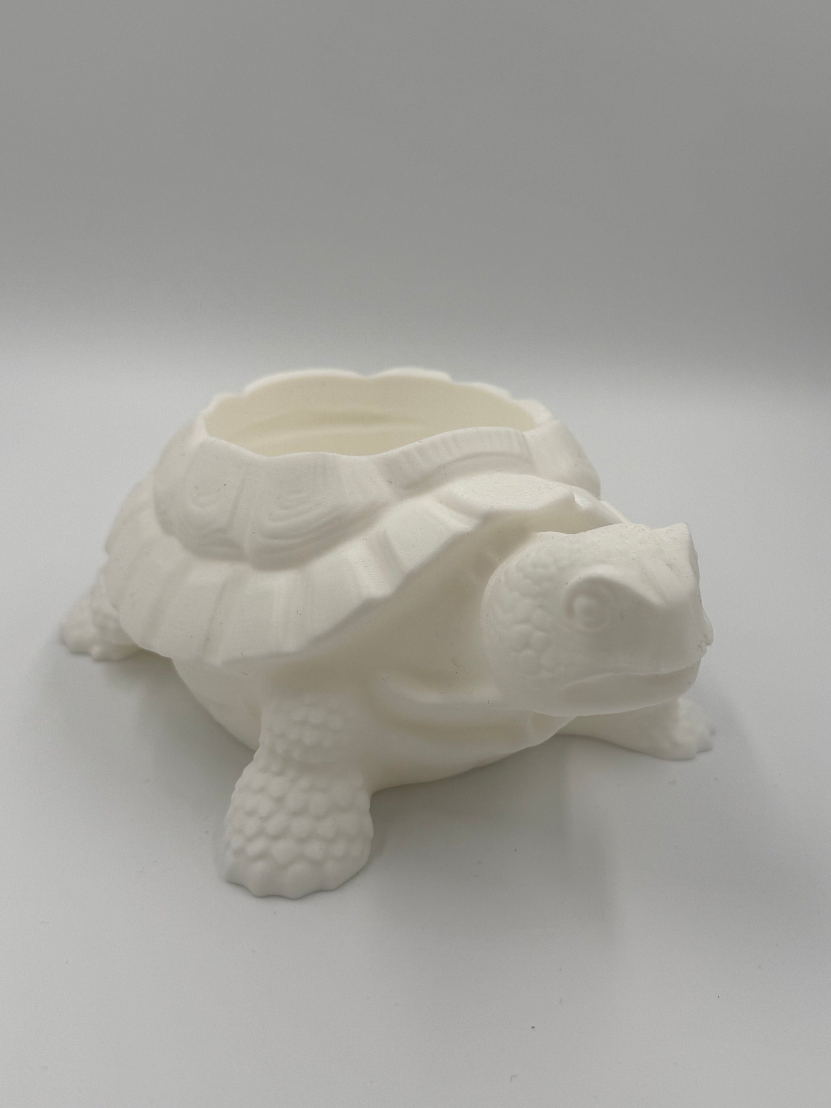 Schildkröten Untertopf