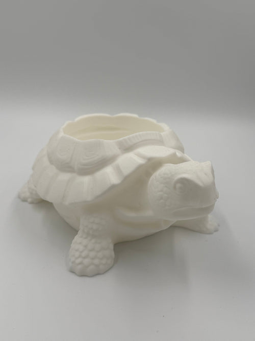Schildkröten Untertopf