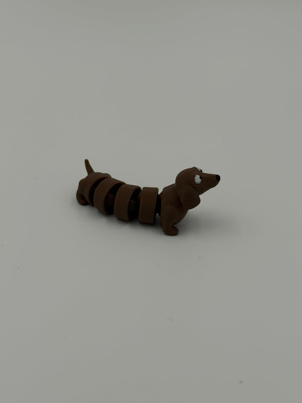 Flexy ~ Dog