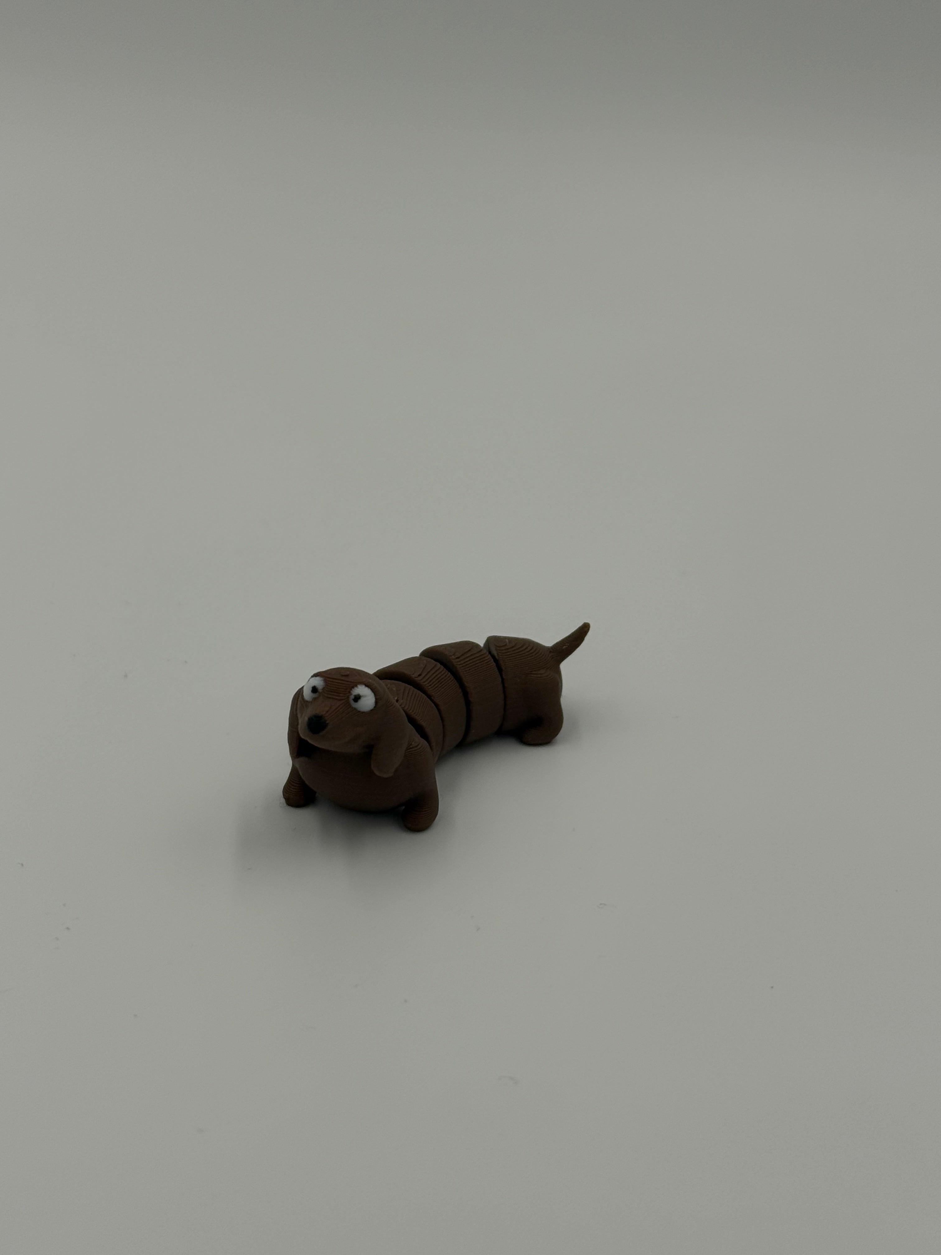 Flexy ~ Dog