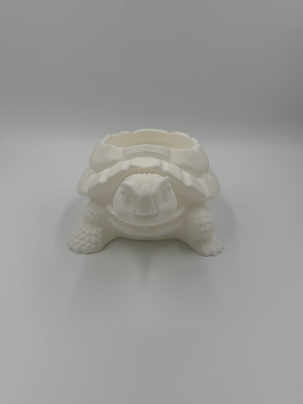 Schildkröten Untertopf