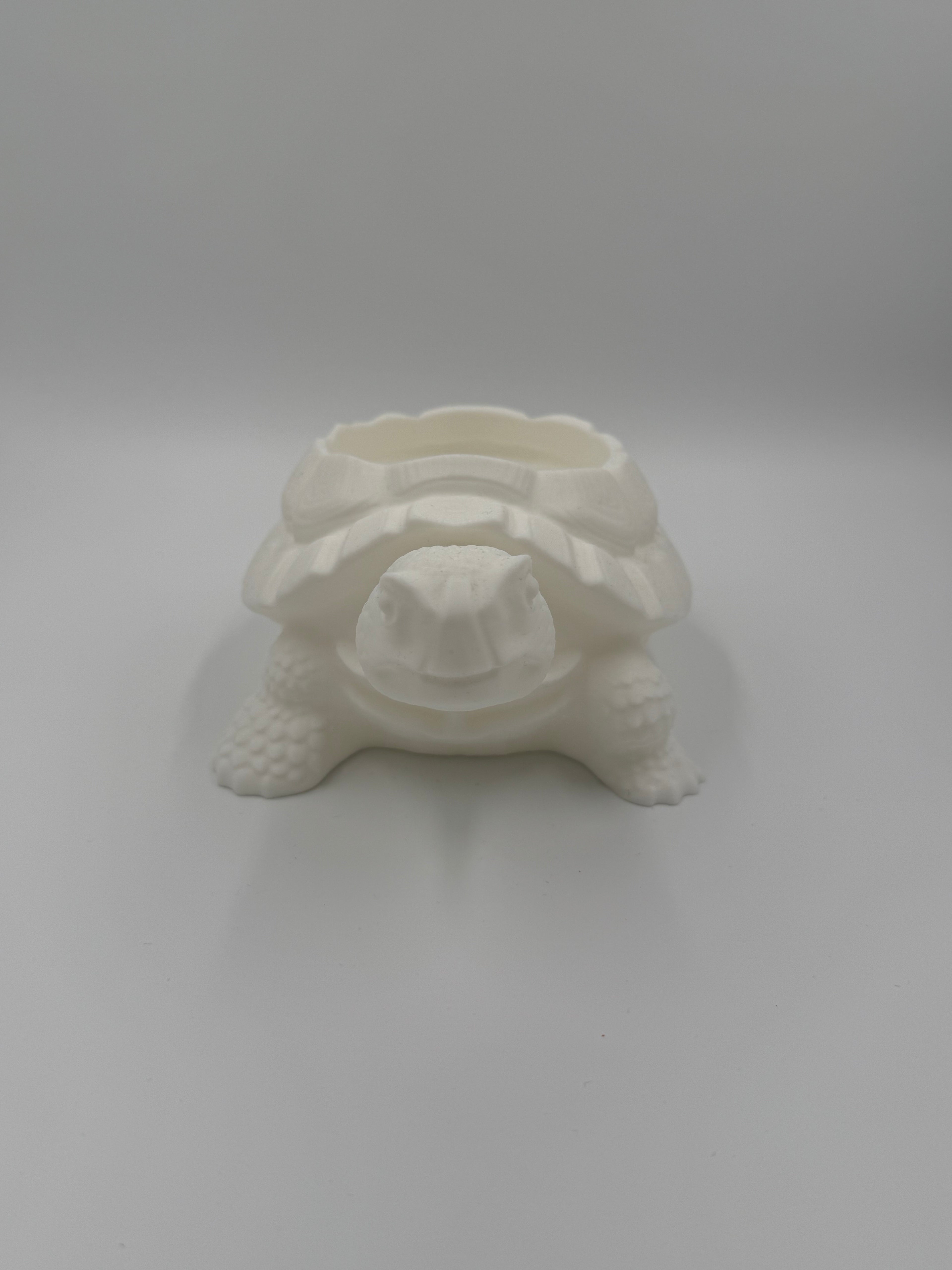 Schildkröten Untertopf